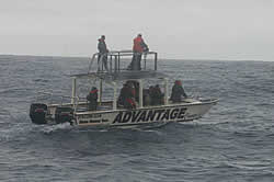 Advantage tours - St Lucia - whale watching on Zululand coast KZN