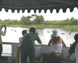 Advantage tours - St Lucia Estuary - crocodiles and hippos