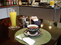 Melmoth Accommodation - Melmoth B&B Accommodation - Golf View Lodge for luxury, affordable accommodation in Melmoth - bathroom