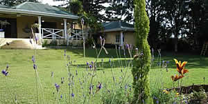 Melmoth Accommodation - Melmoth B&B Accommodation - Golf View Lodge for luxury, affordable accommodation in Melmoth - garden