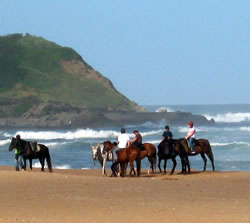 Durban Horse ridding