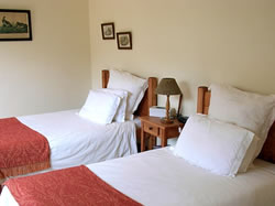 Our little family Bed&breakfast, Durban Accommodation, Westville Accommodation in Westville
