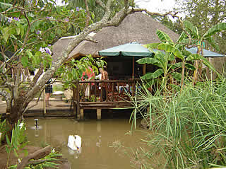 Pongola Tropical Nursery & Tea Garden, Bird Park & Guest Cottages