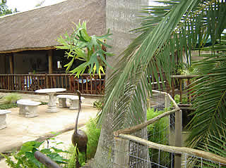 Pongola Tropical Nursery & Tea Garden,