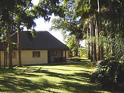 Accommodation at Pongola Tropical - Pongola Accommodation - Pongola B&B - Pongola bed and breakfast