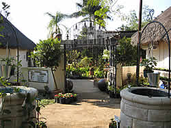 Pongola Nursery - Pongola Tea Garden, Bird Park & Guest Cottages for indigenous and exotic trees, Bonsai trees, shrubs, climbers, ground covers, indoor plants, succulents and flower seedlings.