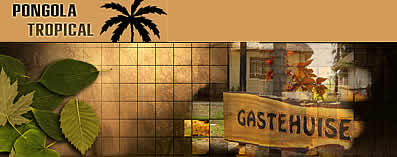 Accommodation at Pongola Tropical - Pongola Accommodation - Pongola B&B - Pongola bed and breakfast