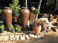 Pongola Nursery - Pongola Tea Garden, Bird Park & Guest Cottages for indigenous and exotic trees, Bonsai trees, shrubs, climbers, ground covers, indoor plants, succulents and flower seedlings