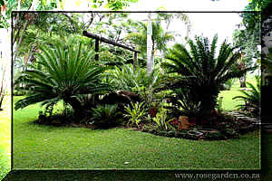 Pongola Rose Garden Guesthouse Gardens, Accommodation Pongola, Guest houses Pongola, B&B Accommodation Pongola, Affordable Accommodation Pongola