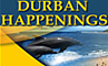 Information about accommodation, business and entertainment in Durban