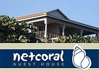 Netcoral Guest House