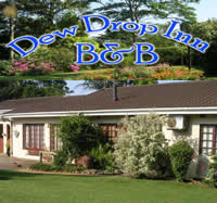 Dew Drop Inn Eshowe