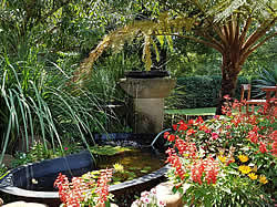 Fawncastle Estate, a four-star Guest House, located in the heart of Hillcrest,