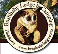 Bushbaby Lodge and Camping