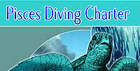 Pisces Dive Charter 