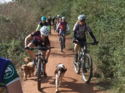 mountain biking