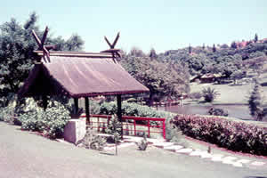 japanese gardens Durban