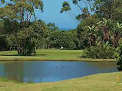Port Edward Golf Club