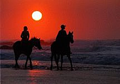 Horse Riding South Coast KZN